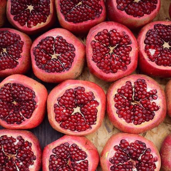 Marine Supply Stores, Shops & Outlets