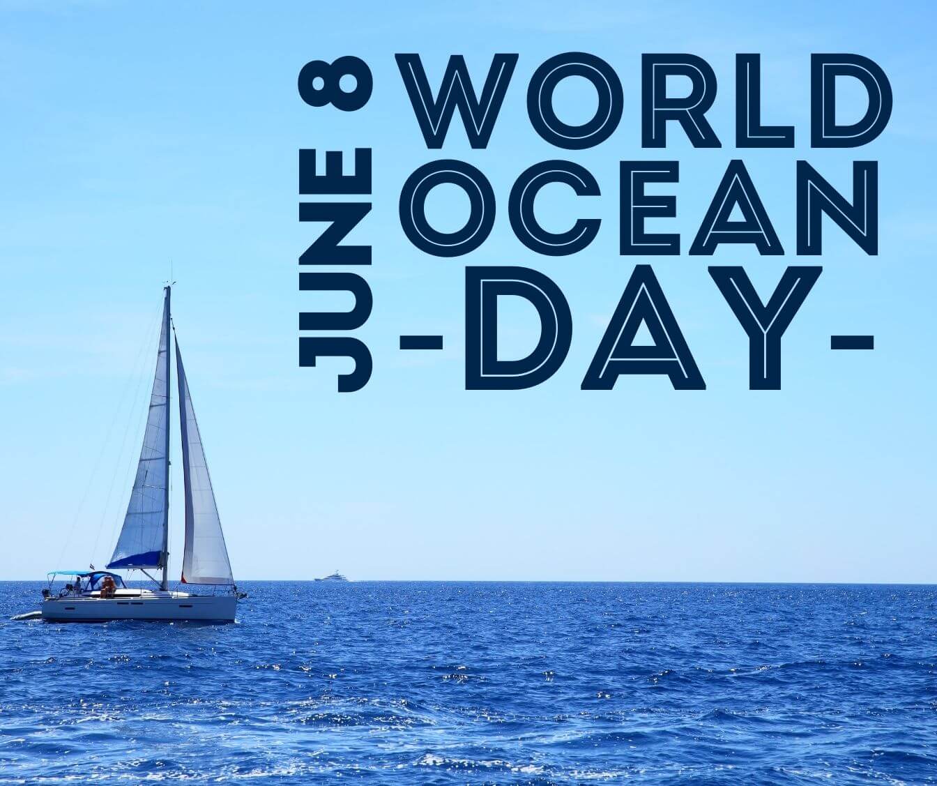 Preserving the Seas: Celebrating World Ocean Day and our Clean Marina Initiative